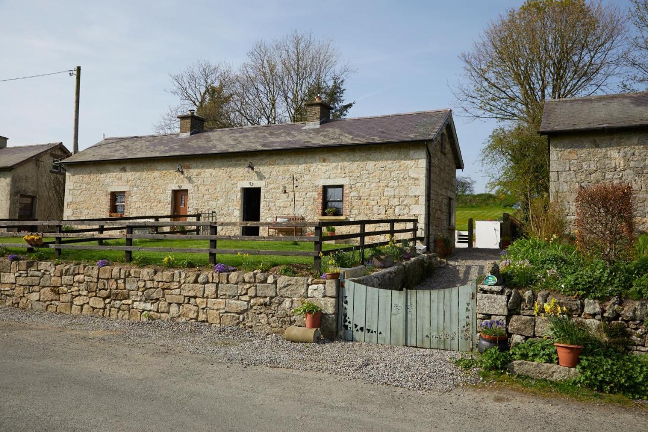 Kilquiggan Cottages Coolkenno Εξωτερικό φωτογραφία